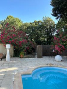 Appartements Cocon cosy appart romantique, jacuzzi piscine : photos des chambres