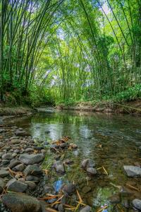 Hotel Campestre LA ALDEA