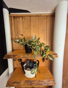 CASA UNO Heimeliges Chalet mitten in Spiez