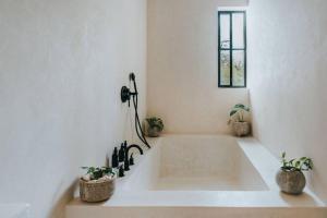 Design Casa Nautilus