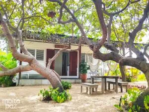 Casa Mais Amor - Mandacaru