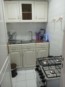 Downtown super apartment