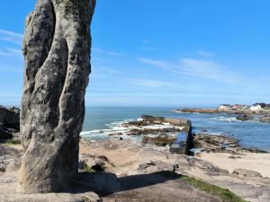 Maisons de vacances Charmante maison renovee au calme avec jardin privatif, a 500m des plages et proche commerces - FR-1-306-1082 : photos des chambres