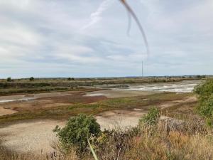 Maisons de vacances Charmante maison renovee au calme avec jardin privatif, a 500m des plages et proche commerces - FR-1-306-1082 : photos des chambres