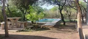 El Colibrí de los Molles - Cortaderas