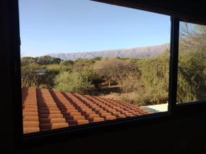 El Colibrí de los Molles