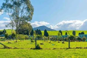 Lush Escape - Lake Taupo Holiday Home - 汤加里罗