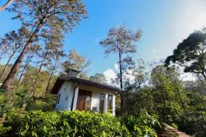 The Green Lush - Paradeka