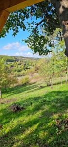 NEO resort Hill jezero Bruje