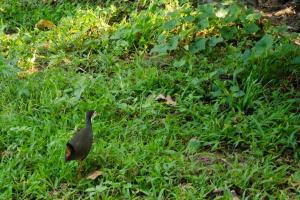 The Cinnamon Cottage