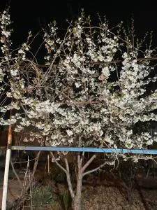 Жилье целиком на природе - Solnechnyy