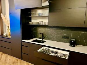 Modern 1-Bedroom Apartment in Kaunas Downtown