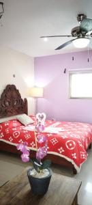 Gacelita Cozumel - 4hvězdičkové hotely ve městě Cozumel