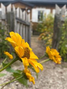 Wakacyjny Dom w Sakach