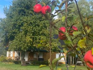 Wakacyjny Dom w Sakach