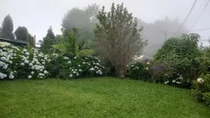 Kaznanou - Îlet à Vidot