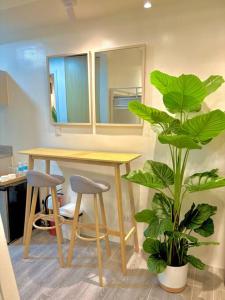Modern Studio by Airport & Malls