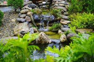 Pachidua Ecolodge - Homestay Du Già