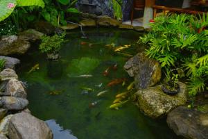 Pachidua Ecolodge - Homestay Du Già