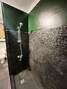 Zamalek hotel apartment 2BR