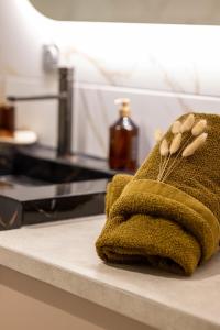 Appartements LES GRANGES DE JADIS ALSACE Bis : photos des chambres