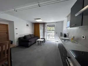 Apartment Angelina - 戈雷尼斯卡地区采尔克列