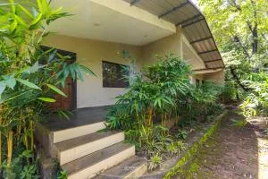 Tree Paradise Resort - Sunksāl