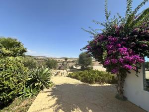 Finca encanto