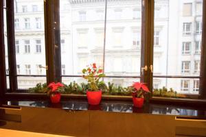 Apartment in the heart of Prague