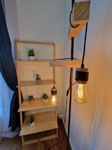 Appartements Suite des Lices a 2 minutes de la Gare- Chateau de blois - Suite des Lices 2 minutes from train station - Chateau de Blois : photos des chambres