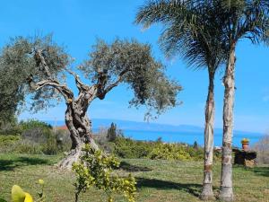 Profumo di Zagara Acireale