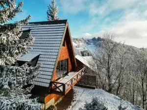 Vista Mountain House - Raška