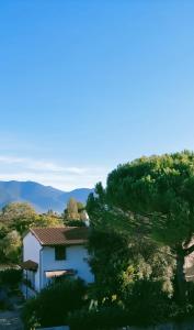 Casa di Dodo - Pisa ,Cisanello