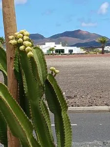 Casa Los Volcanes - Uga