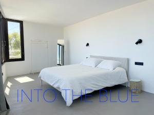 into the blue suite