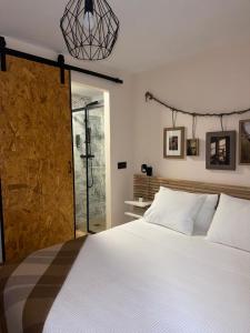 Suite luminosa en el centro con PARKING VIGILADO GRATIS centro histórico Picón Center