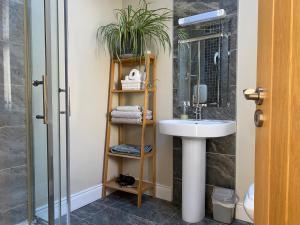 Burren Glamping Dome - 1 bed lux stay pets welcome