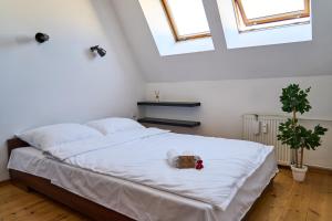 AH Apartament Św Antoniego