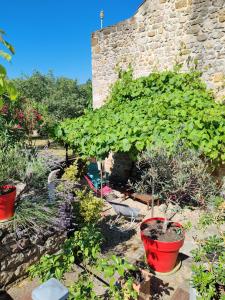 Maisons de vacances Gites Mas de la Musardiere : photos des chambres