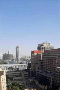 Majestic Comfort Elite Suite in Dokki-4