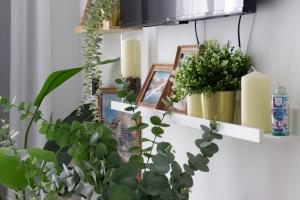 Apartamento Noguera Loft "D"