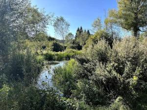 Hideaway Cottage, Luxury, parking, study, EV