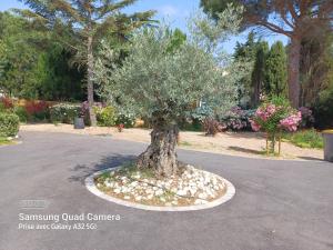 Villas propriete avec piscine sur 1800m2 parking prive privatif 3 chambres dont 2 parental pas de vis a vis clim jeux enfants : photos des chambres
