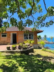 Summa Terra - Tigaras