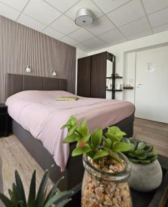 Queen Room room in Olivin Kytlice