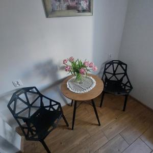 Apartament Okrzei