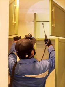 Escape Cabin at Baguio