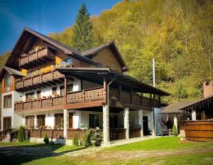 Pensiunea Drumul Iancului - Vadu Moţilor