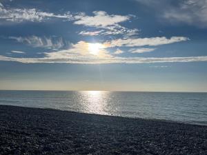 Cayeux sur oiseaux