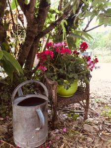 Maisons de vacances Maison avec jardin dans village : photos des chambres